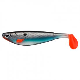 Blue Shiner