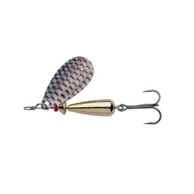 Roach