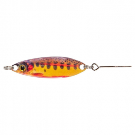 Rainbow Trout 2