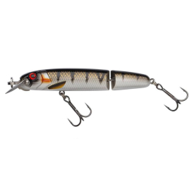 Copper Perch