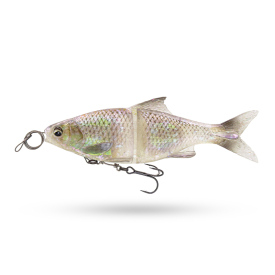 Ghost Roach