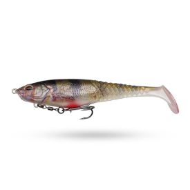 Perch