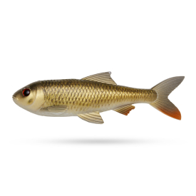 Crucian Carp