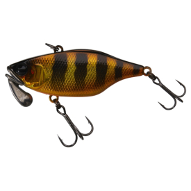 Aurora Black & Gold