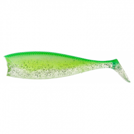 Carribean Shad