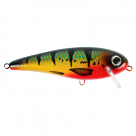 Red Perch