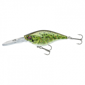Live BRN Trout