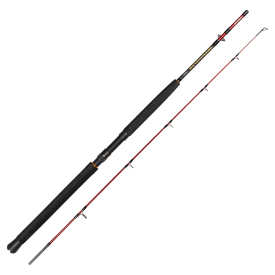 Daiwa Seahunter Spin 6' 2pc 80-200g