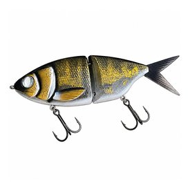 Walleye