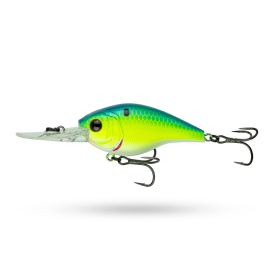 Blue -Treuse Shad
