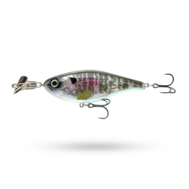 Bluegill