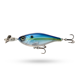 Sexy Shad