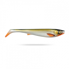 Tennessee Shad