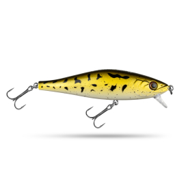 The Stickleback