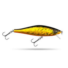 Golden Shiner