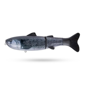Shad