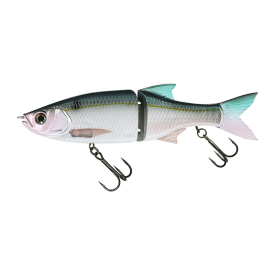 Threadfin Shad
