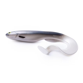 Silver Minnow