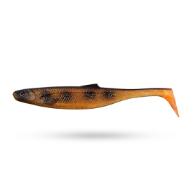 Spotted Bullhead