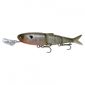 Bluegill