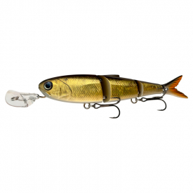 Golden Shiner