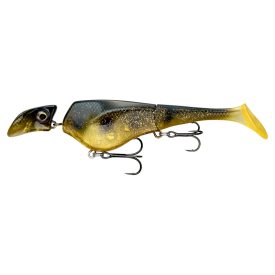Spotted Bullhead
