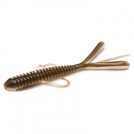 Arkansas Shiner