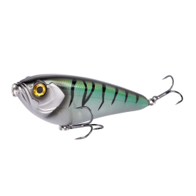 Mackerel