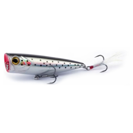 Sea Trout