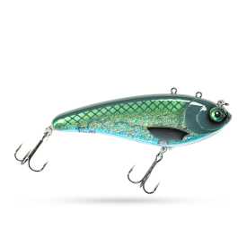 Blue Cisco