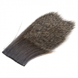 Medium Dun