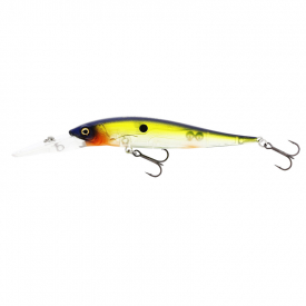 Hot Shad