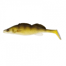 Zander