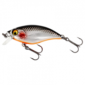 Steel Sardine