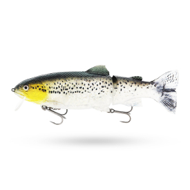 Headlight Deluxe Trout