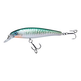 Stickleback
