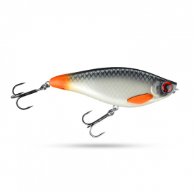 Hotfin Roach