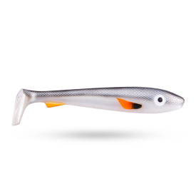 Black Shad