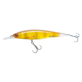 Walleye