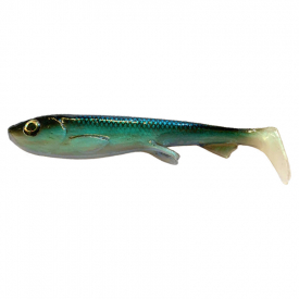 Baltic Herring