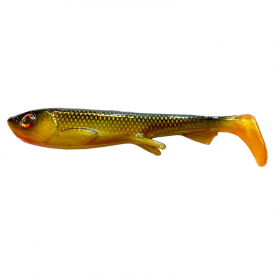 Kiwi Carp