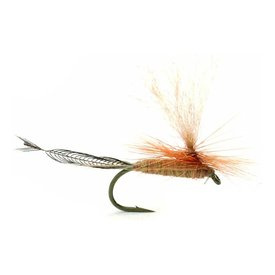 Guidelin Vulgata - #10