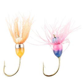 IFISH Hot Heads 2
