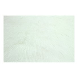 Shadow Fox - White
