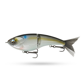 6th Sense Judo - Pro Gizzard