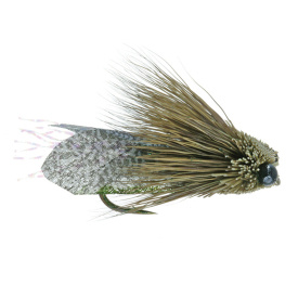 Umpqua Clark's Cicada Olive - #10 