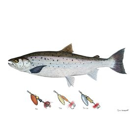 Myran Framed Salmon Poster