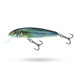Salmo Minnow Floating