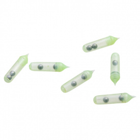 Svartzonker Rasselkammare (25-pack) - Glow