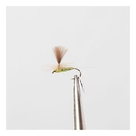 Olive Flash # 12